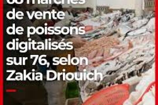 Mme Driouich : 68 marchés de vente de poissons digitalisés sur 76